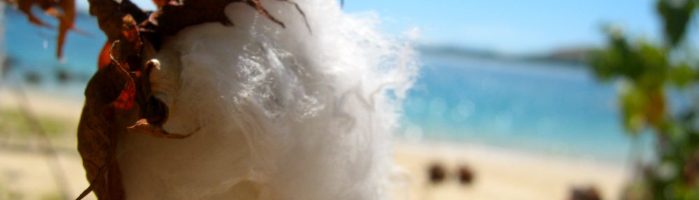 TribeLife Madagascar :: The Real Malagasy Life :: l'Esperienza Eco-Sostenibile :: il Viaggio Solidale ::