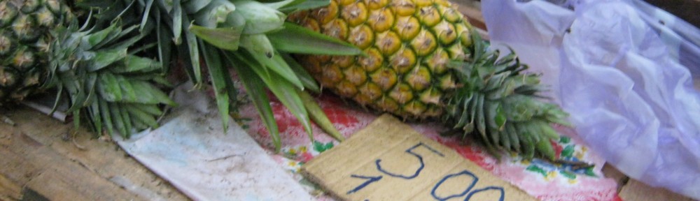 TribeLife Madagascar :: The Real Malagasy Life :: l'Esperienza Eco-Sostenibile :: il Viaggio Solidale ::