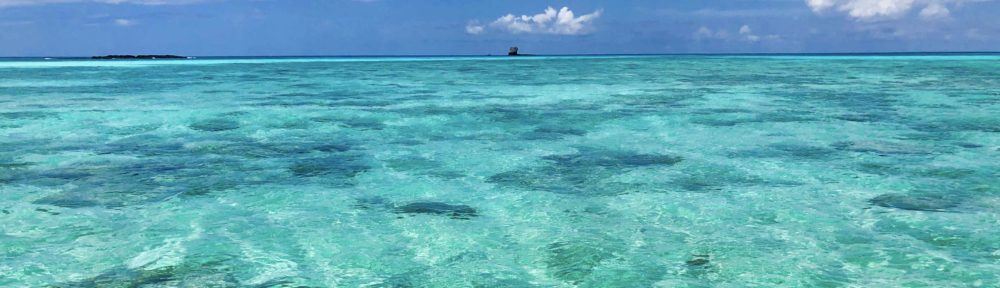 TribeLife Madagascar :: The Real Malagasy Life :: l'Esperienza Eco-Sostenibile :: il Viaggio Solidale ::