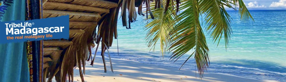 TribeLife Madagascar :: The Real Malagasy Life :: l'Esperienza Eco-Sostenibile :: il Viaggio Solidale ::