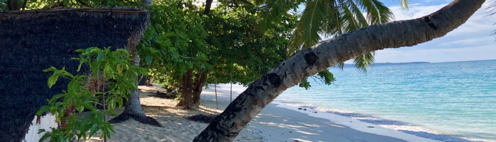 TribeLife Madagascar :: The Real Malagasy Life :: l'Esperienza Eco-Sostenibile :: il Viaggio Solidale ::