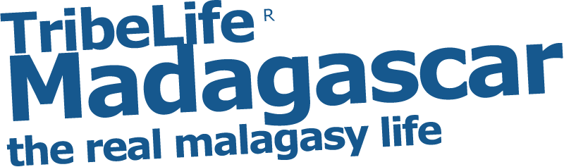 TribeLife Madagascar :: Guest House Bungalow nella foresta Tropicale sull'isola Sacra di Nosy Sakatia :: The Real Malagasy Life :: l'Esperienza Eco-Sostenibile :: il Viaggio Solidale ::